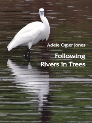 cover image of Following Rivers in Trees